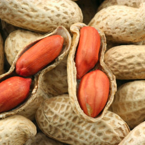 Peanut shells